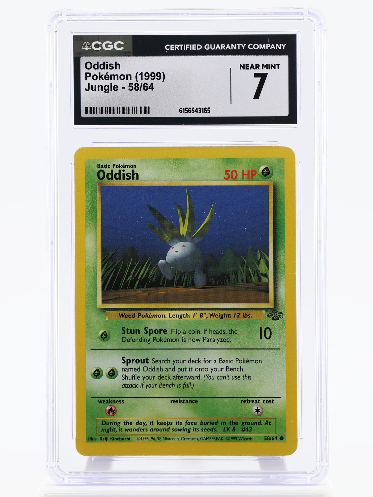 Oddish · Jungle · 58/64 · Actual photos of the card in slab · front