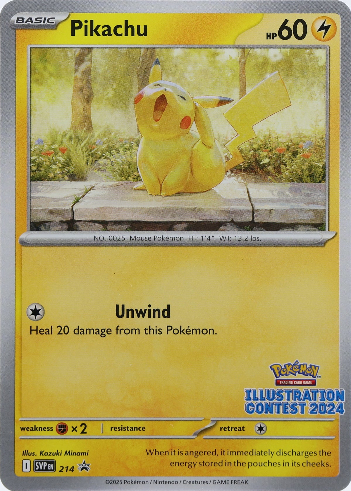 Pikachu · SVP Black Star Promos · 214 · actual card-only photograph · illustrated holder display