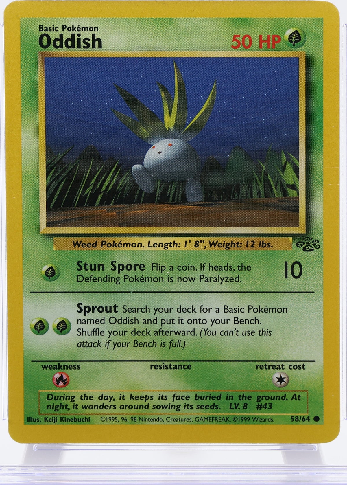 Oddish · Jungle · 58/64 · actual card-only photograph · illustrated holder display