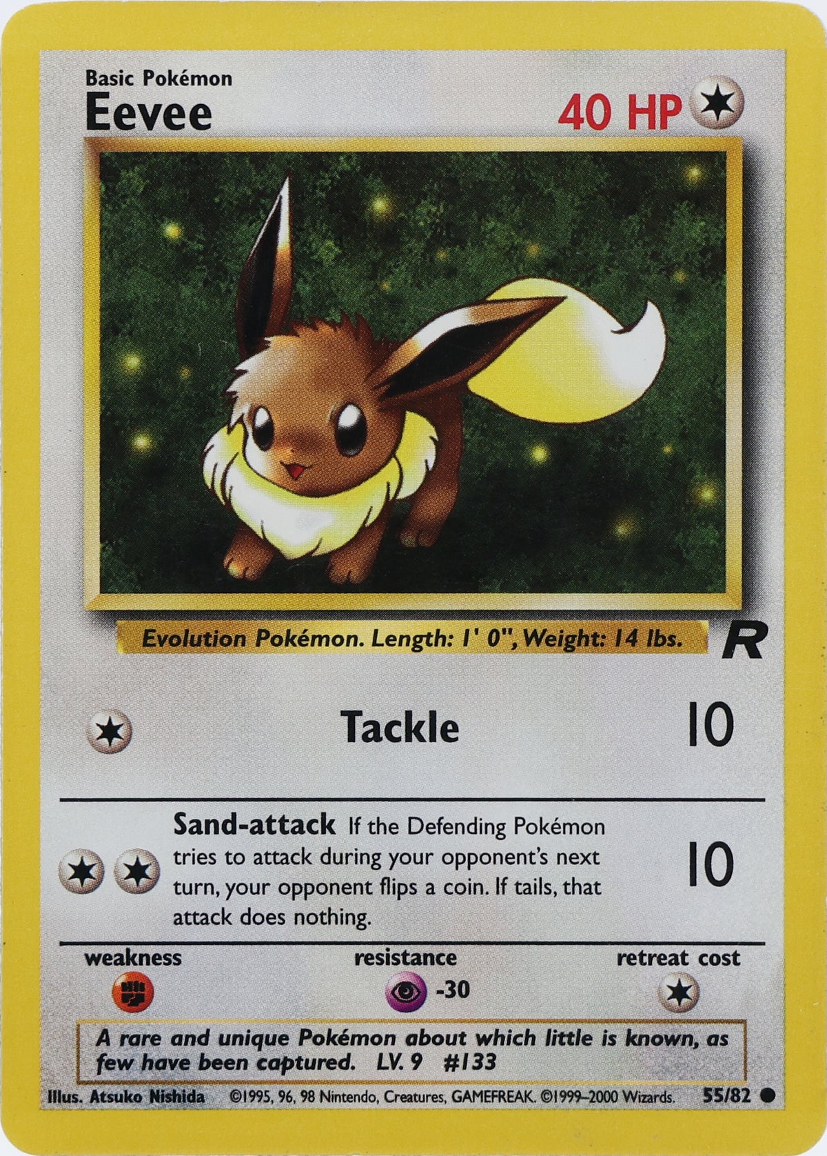 Eevee · Team Rocket · 55/82 · actual card-only photograph · illustrated holder display